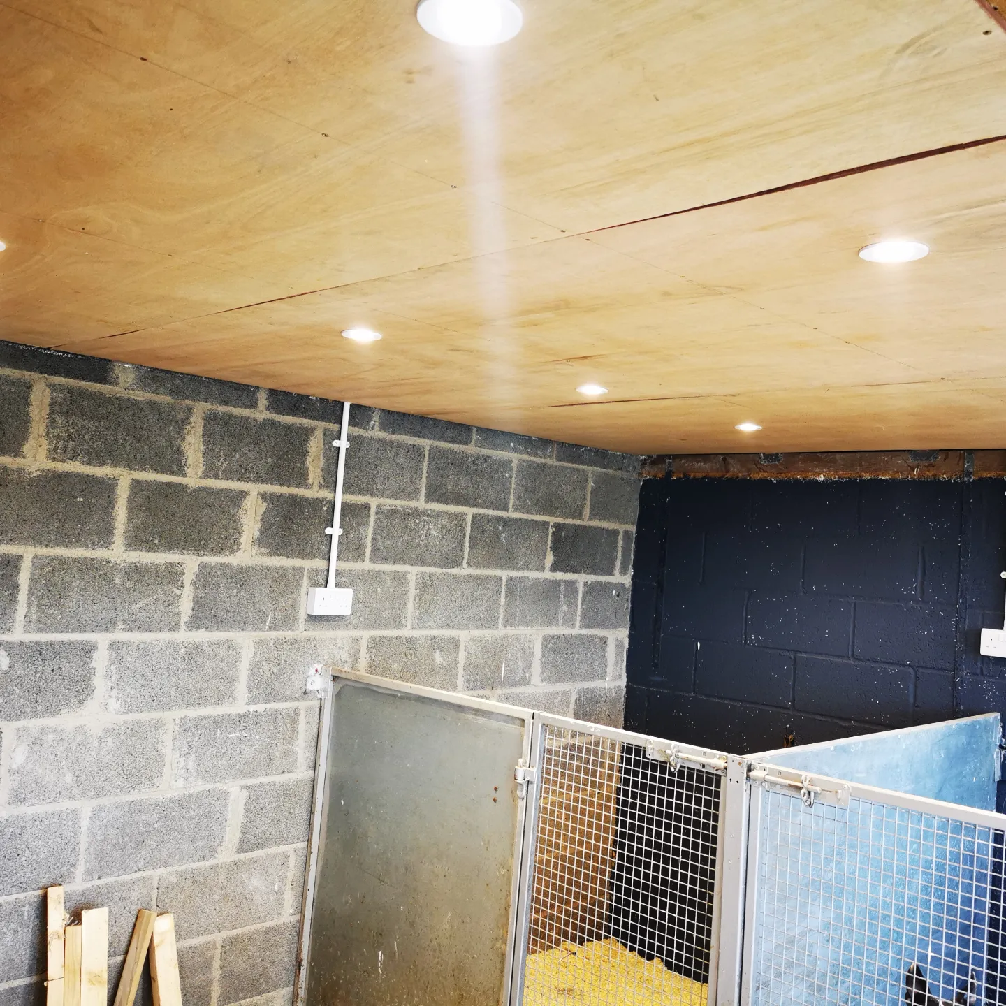 The outbuilding with new down lights and sockets fitted